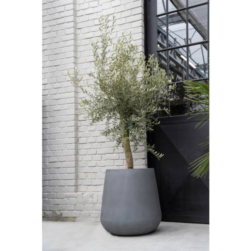 Pot Planter