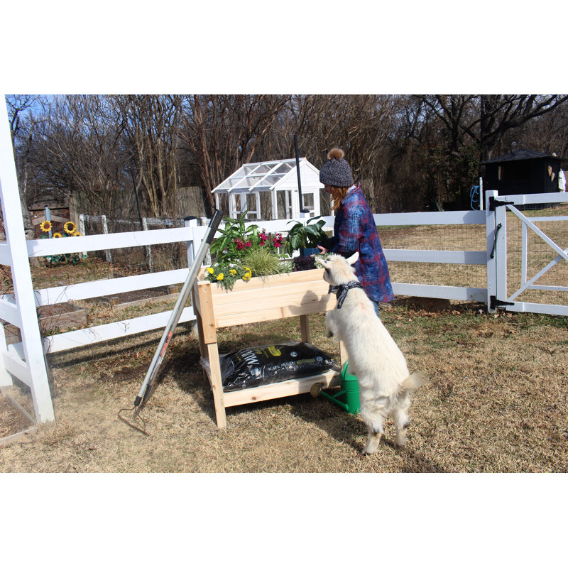 Jardinière surélevée avec tablette de rangement Raised Garden