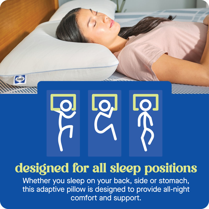 Sealy Dreamlife Performance Foam Medium Pillow, Standard