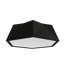 Physalis 1 - Light Flush Mount-68652236-99923266