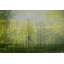 Parvez Taj - Wrapped Canvas Print-16674038