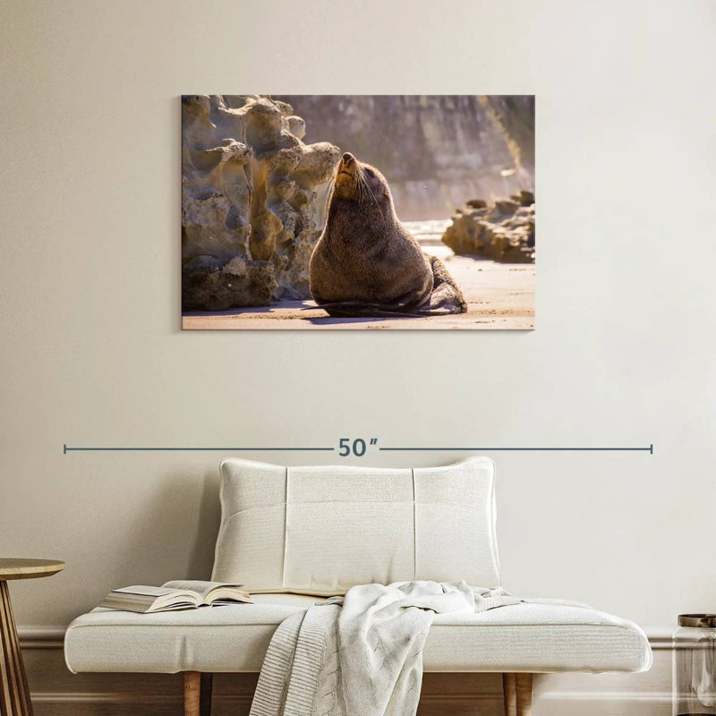 Sunbathing Seal, 24" H x 36" W