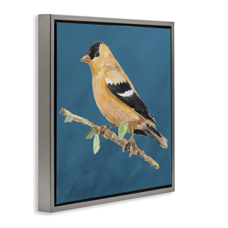Oiseau traditionnel jaune sur toile flottante encadrée par Lanie Loreth, Cadre flottant gris lustré, H 18 po x l 18 po