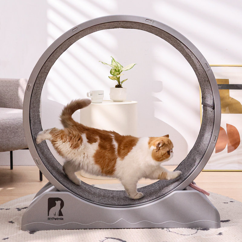 Emmani 33.5'' Noiseless and Lockable Cat Treadmill Exercise Running Wheel, Grey