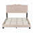 Beige is out of stock selected