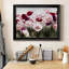 " Royal Poppy Field "-1037696953-1037696952