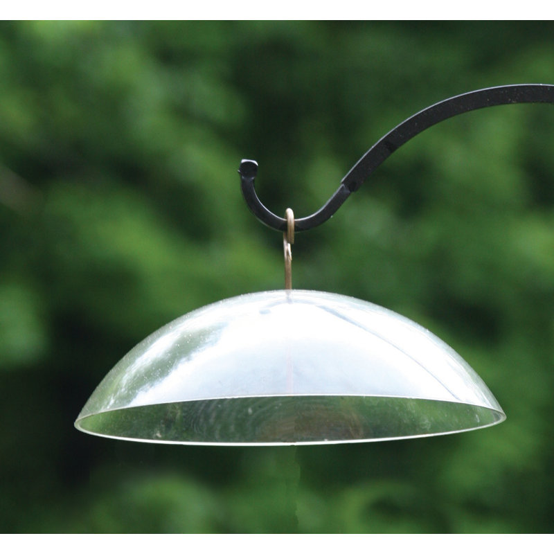 Couvercle de protection en forme de dôme pour oiseaux suspendus 10 po Birds Choice, Clair