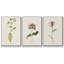 Mauve Garden Flowers IV, ensemble de 3 toiles encadrées sur toile-64058042-64058041
