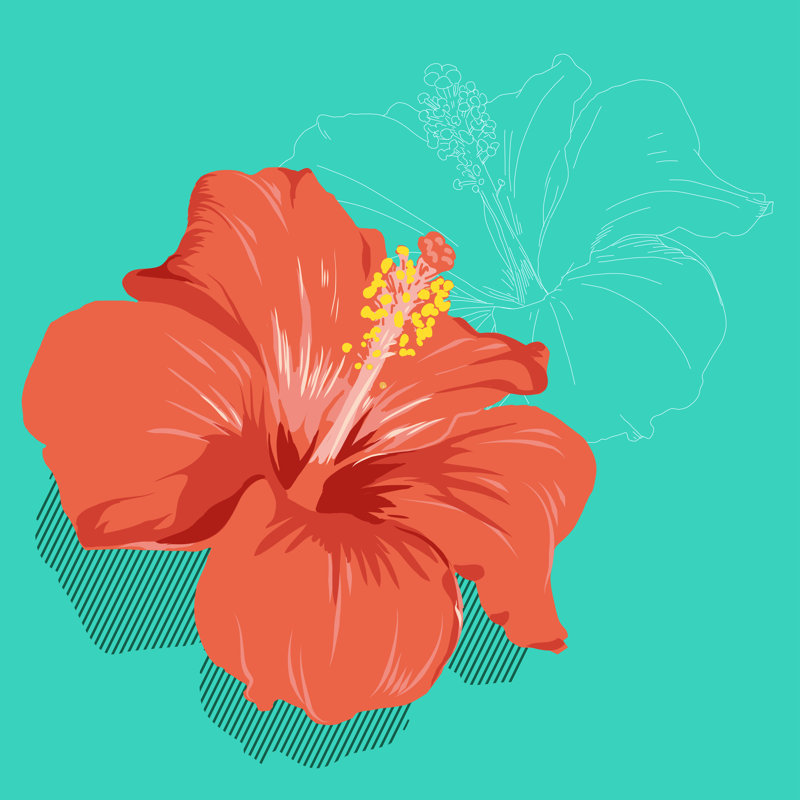 Red Hibiscus Flowers Vector Illustration On Green Background - Wrapped Canvas Print, 30cm H x 30cm W x 3.8cm D