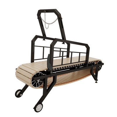 Tapis roulant pour chien avec frein à main, jusqu'à 300 lb