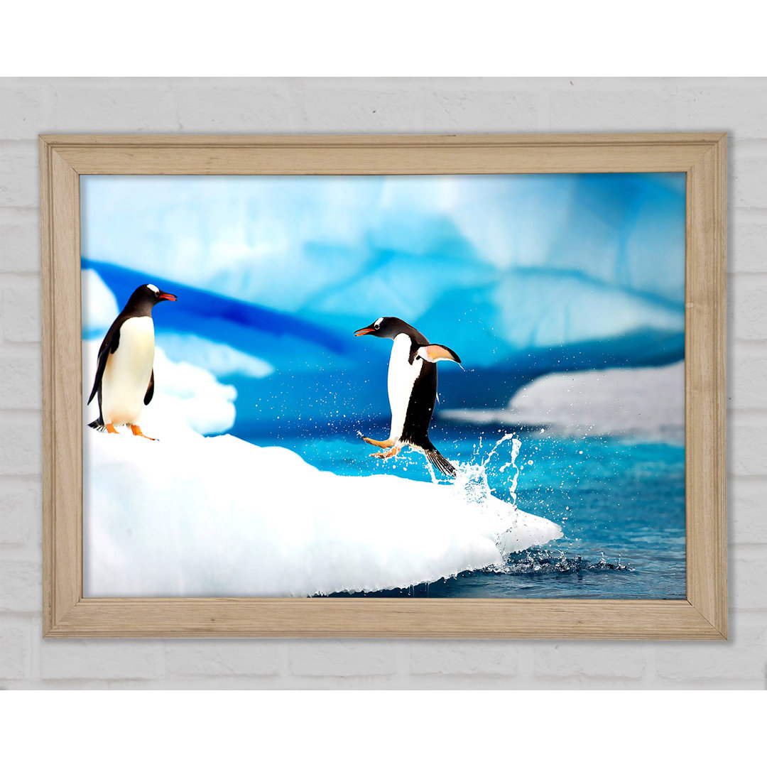 Gerahmtes Leinwandbild Gentoo Penguins Antarctica