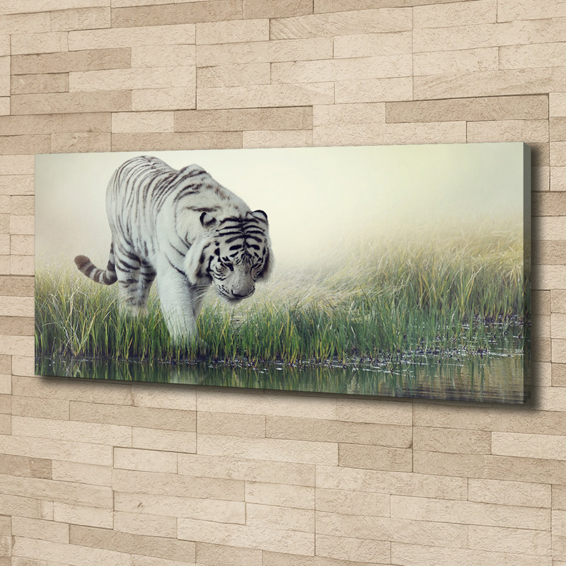 White Tiger - No Frame Print on Canvas