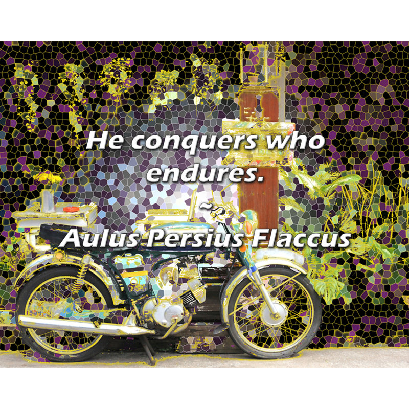 Aulus Persius Flaccus Citation: «Il conquiert qui endure.