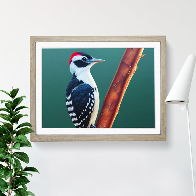 Select Woodpecker Bird - Framed Print, 46cm H x 64cm W x 2cm D, Oak