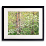 Tennessee Spring Forest Print by Bruce Heinemann