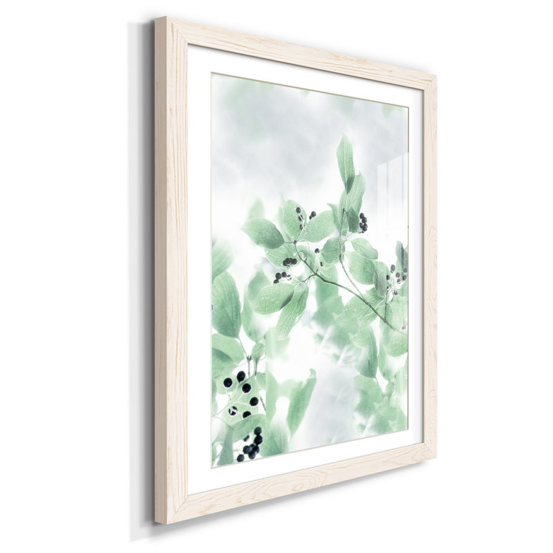 Berry Bright II - Reproduction d'art graphique sur papier encadré, H 31,5 po x l 23,5 po x P 1,5 po, Blanc