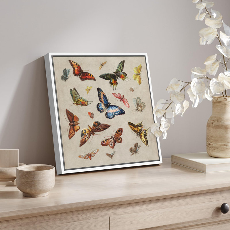 «Vintage Vibrant Butterfly Wilderness Illustration Rustic French Country», Blanc, H 16 po x l 16 po