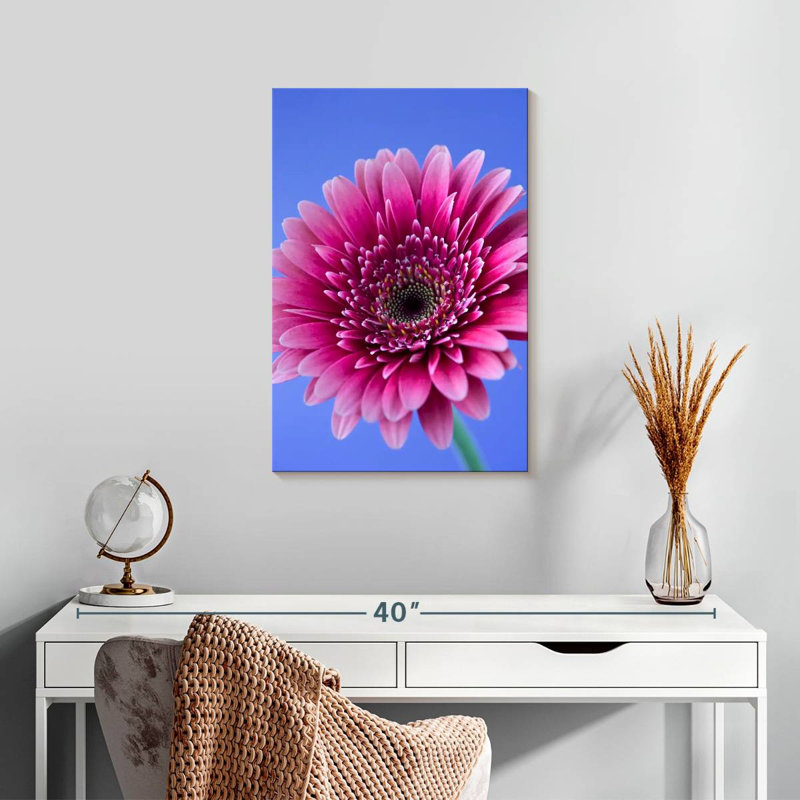 Rose Harnek Gerbera Daisy I, H 24 po x l 16 po
