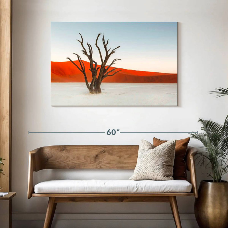 Harnek Deadvlei Bare Camel Thorn Tree