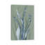 Radiant Blue Sage II by Albert Koetsier - Gallery-Wrapped Canvas Giclée on Canvas-506215667-482983719