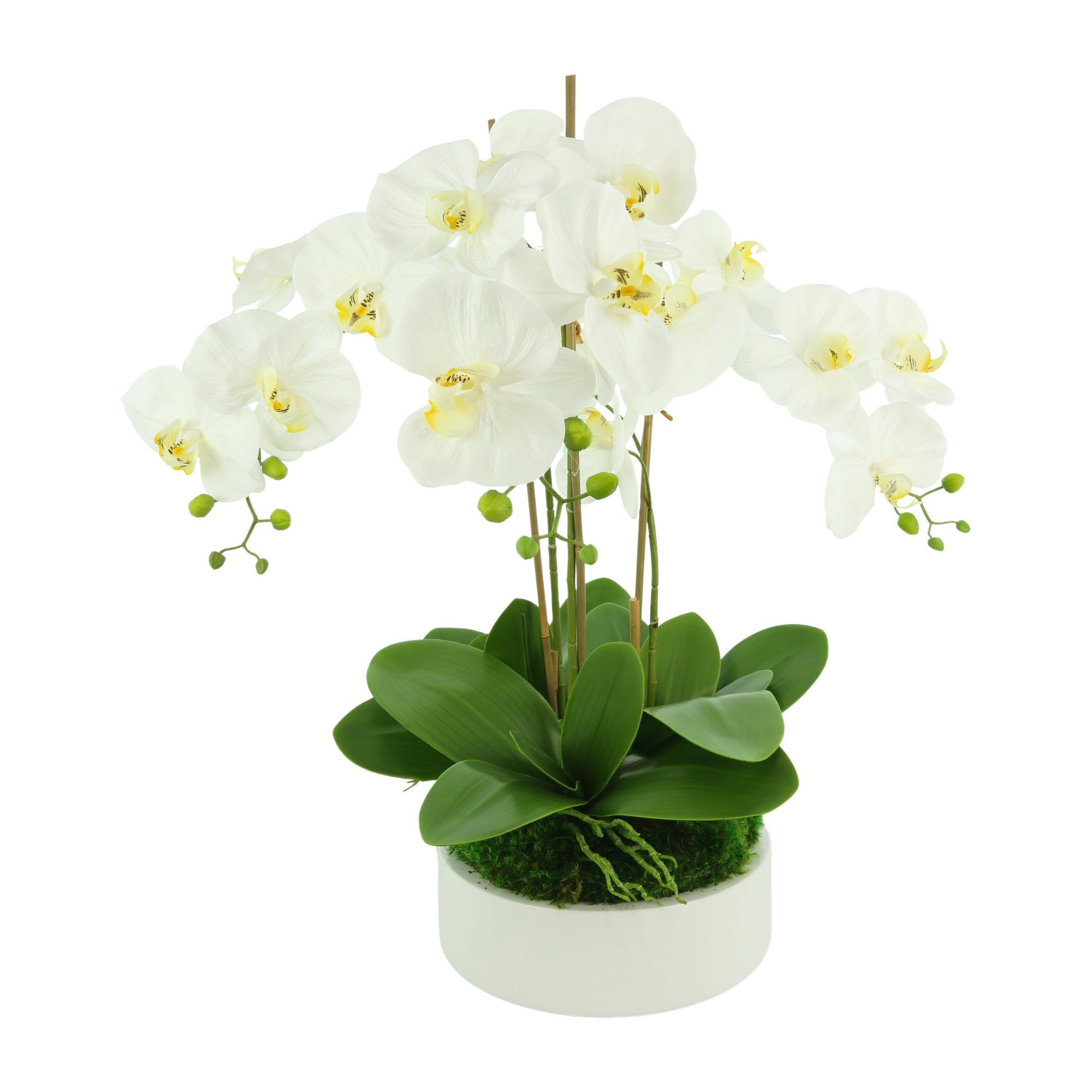 The Twillery Co.® Orchid Floral Arrangement in Planter & Reviews | Wayfair