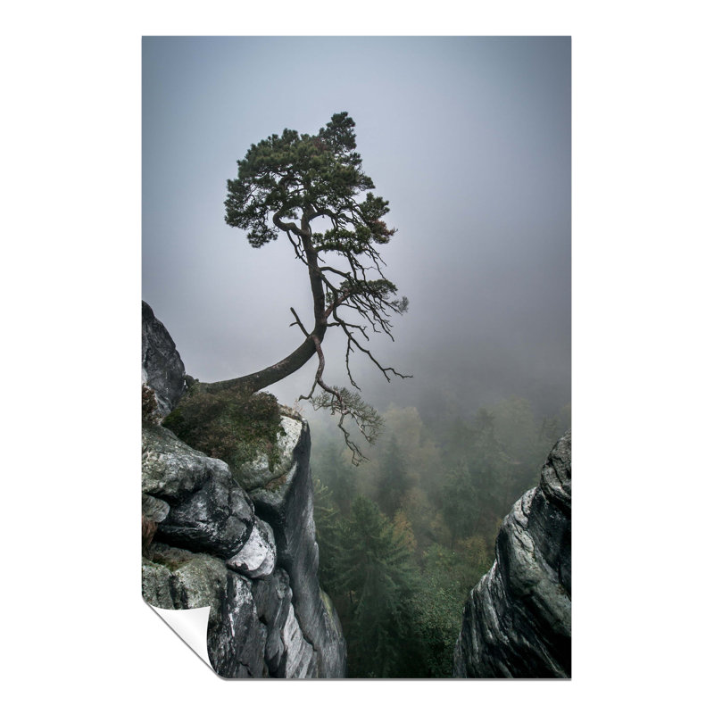 Old Tree Hanging By Cliff Foggy Mountain - No Frame Print, 31cm H x 20cm W