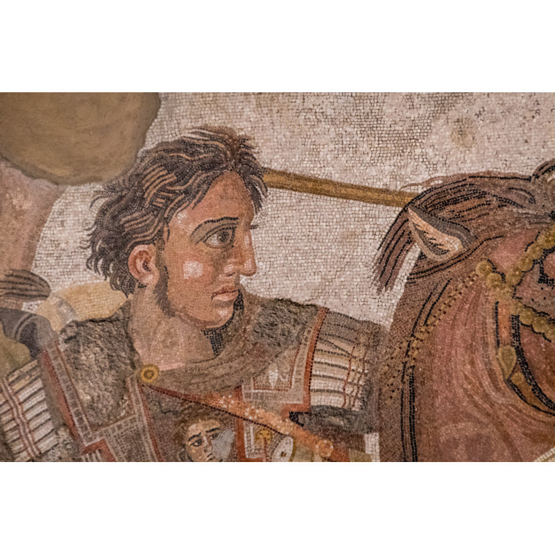 The Alexander Mosaic - Wrapped Canvas Print, 61cm H x 91cm W
