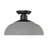 Yep by Golden Lighting Levitt 1-light Outdoor Ceiling in Natural Black and Natural Gray shade-92389153