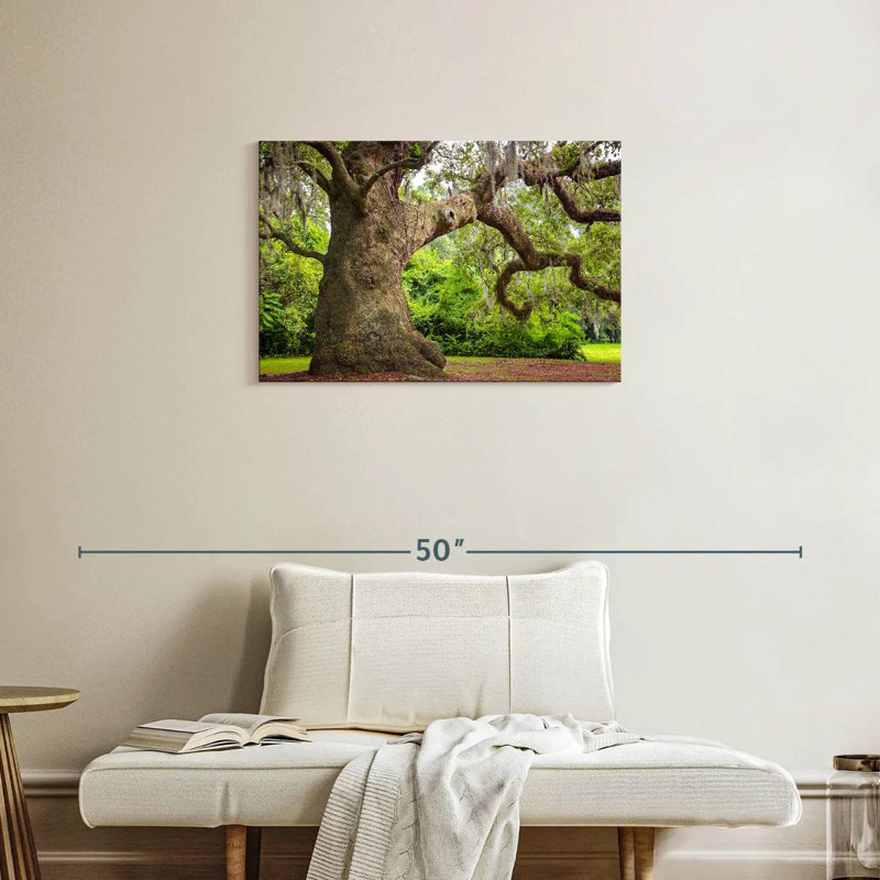 Harnek Live Oak Tree, 20" H x 30" W