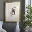«Spring Song Goldfinch» - peinture encadrée-706629359-706629356