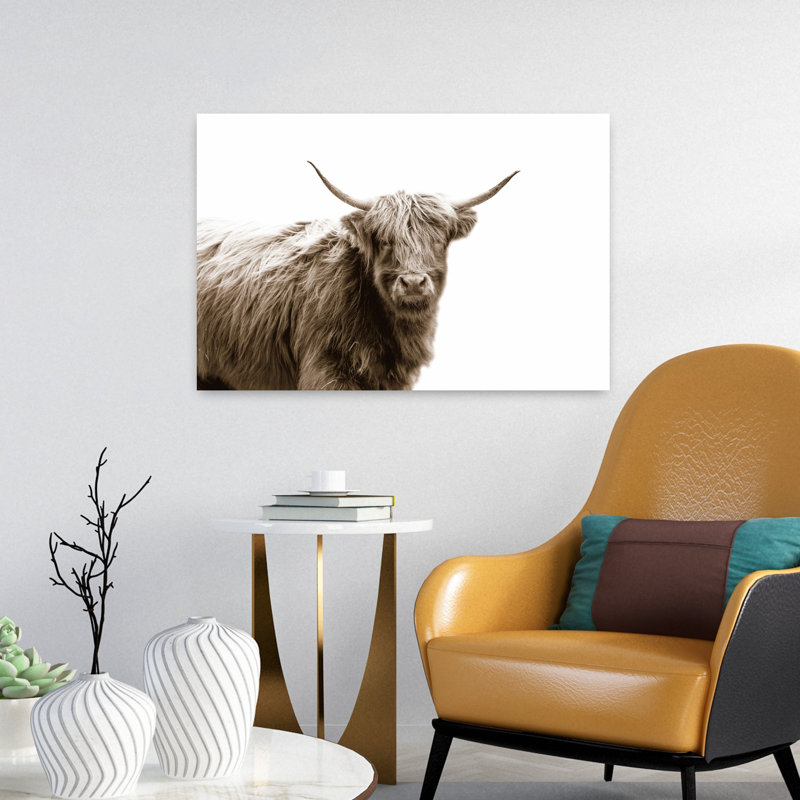Highland Portrait, art de portrait de vache contemporain, H 24 po x l 16 po