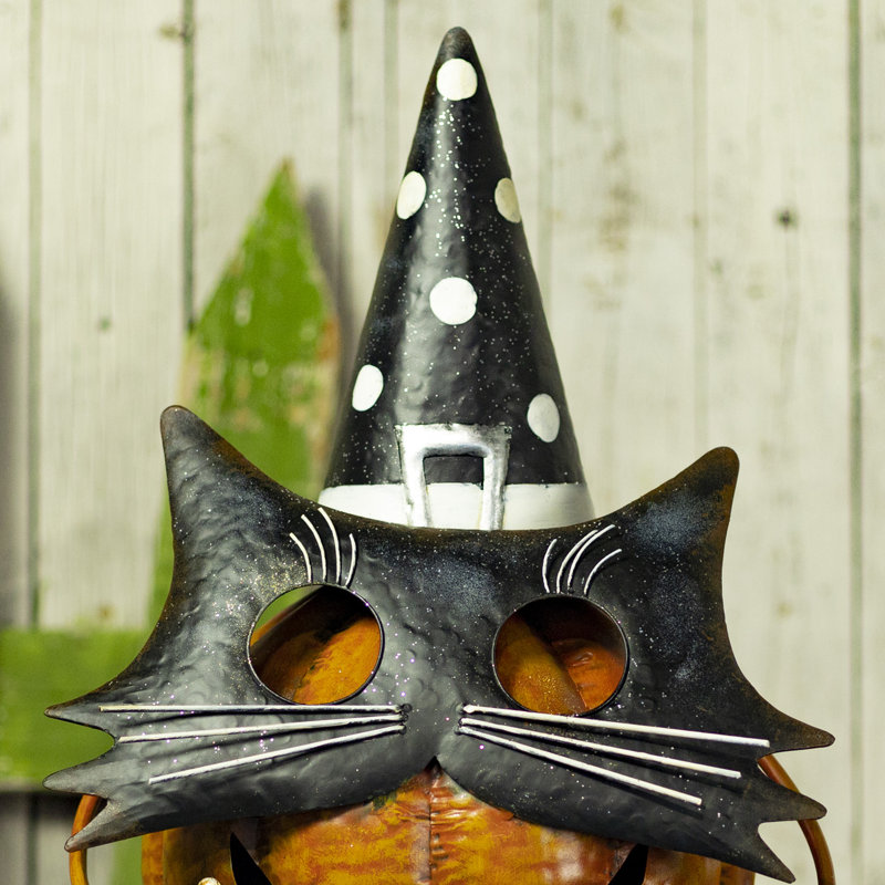 Figurine Binx 26 po