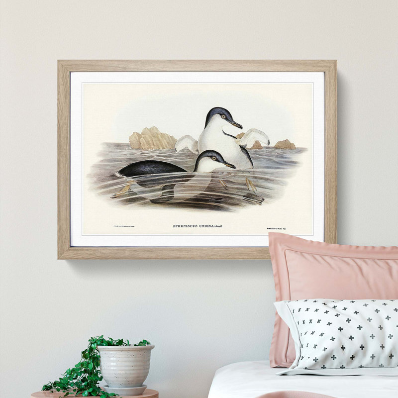 Little Blue Penguins by Elizabeth Gould - Picture Frame Painting Print, Oak Framed, 36cm H x 48cm W x 2cm D
