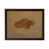 Brown Framed