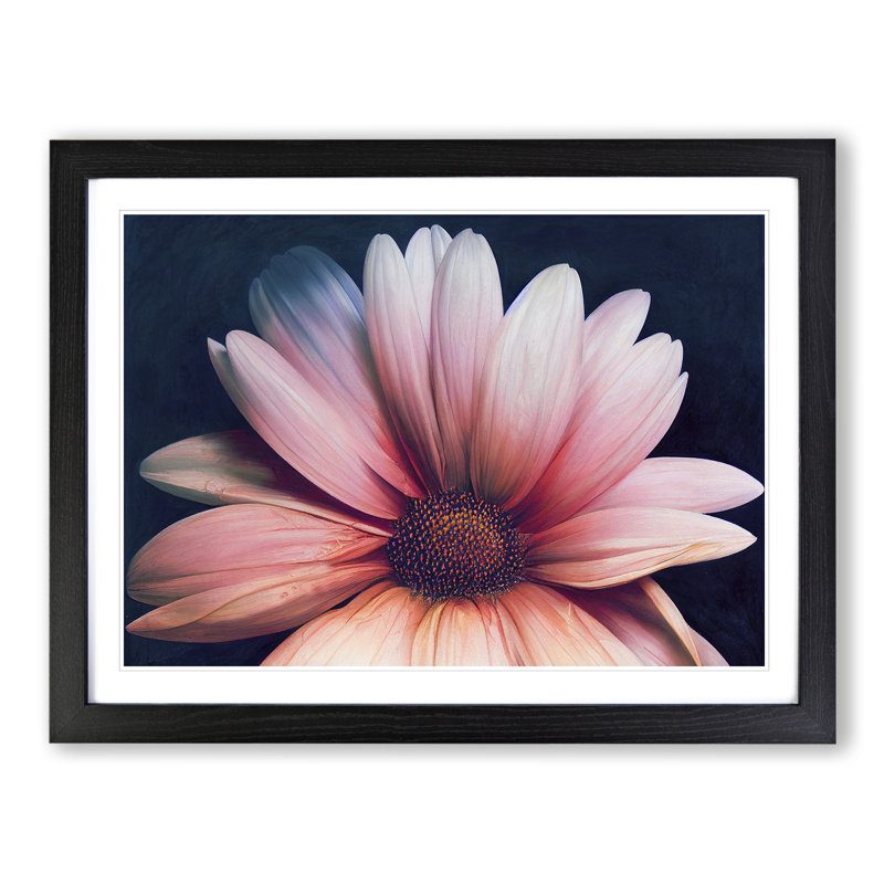 Handsome Daisy Flower - Single Picture Frame Print, Black Framed, 25cm H x 34cm W x 2cm D