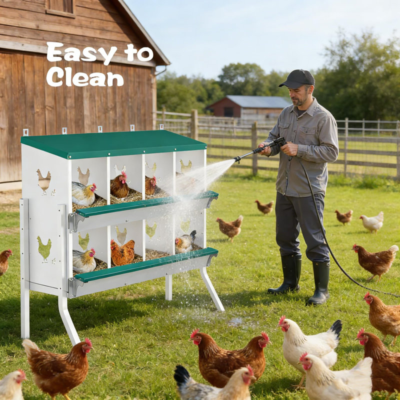 Boîte de nidification de poulet en acier galvanisé à 8 compartiments, grande boîte de nid de poule avec faux œufs et nichoirs souples, fixation murale autoportante pour poulailler