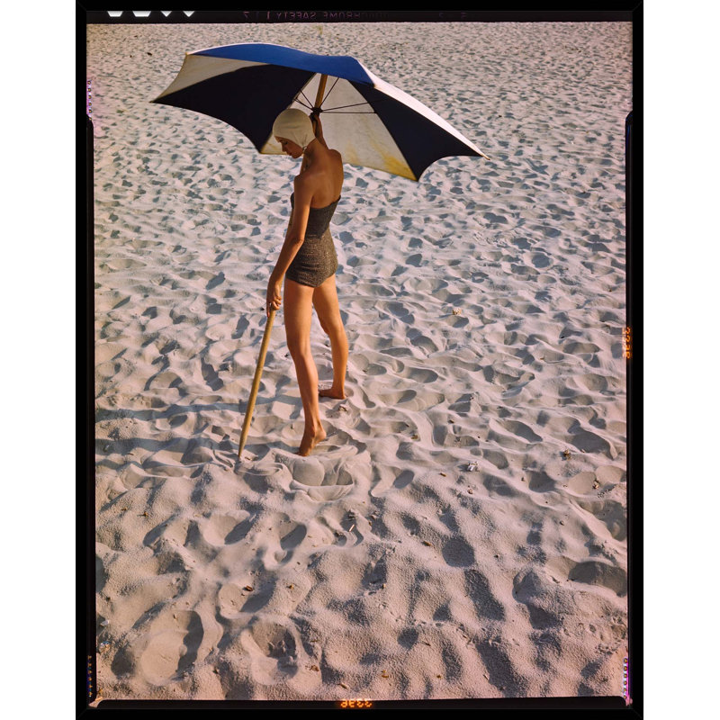 " Days In The Sun "