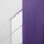 Violet Divide