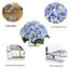 Arrangement d'hortensias dans un vase-88514611