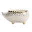 Hedgehog Ceramic Planter-62260154