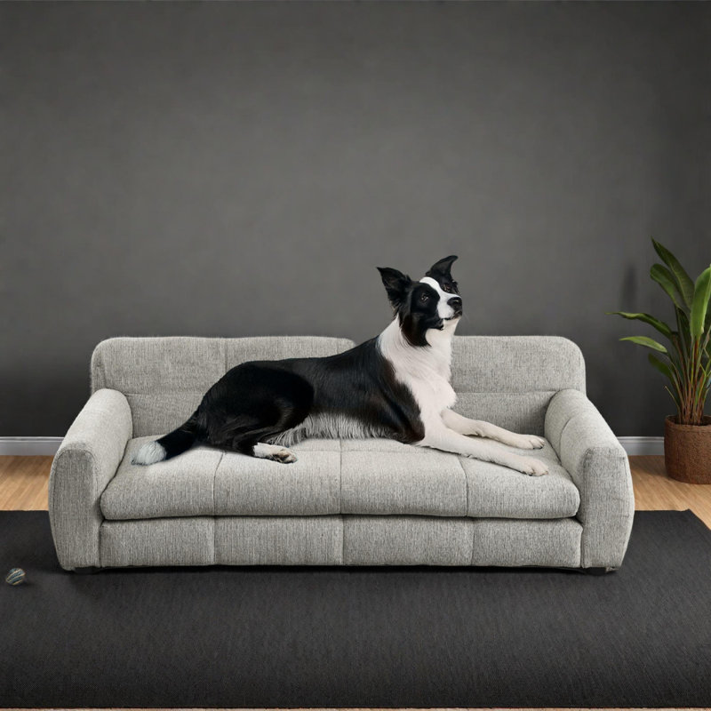 Canapé-lit surélevé pour chiens surdimensionnés, Beige
