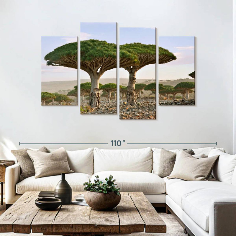 Alvord deux sapins Socotra, H 54 po x l 84 po