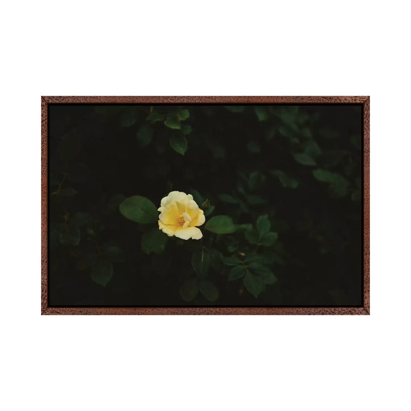 Washington Bloom by Bethany Young - Print on Canvas, Classic Brown Wood Framed, 45.72cm H x 66.04cm W x 3.81cm D