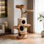 Structure d'escalade simple et tendance pour chat
