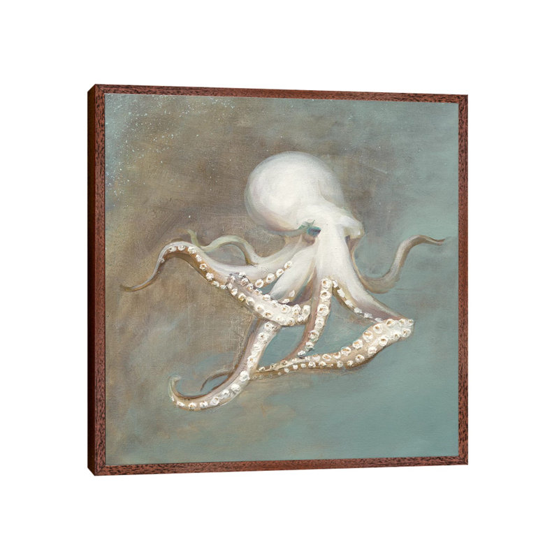 Treasures From The Sea V by Danhui Nai - Print on Canvas, 66.04 cm H x 66.04 cm W, Classic Brown Wood Framed