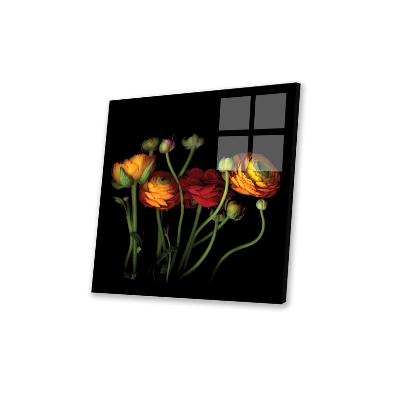Ranunculus IV Print On Acrylic Glass
