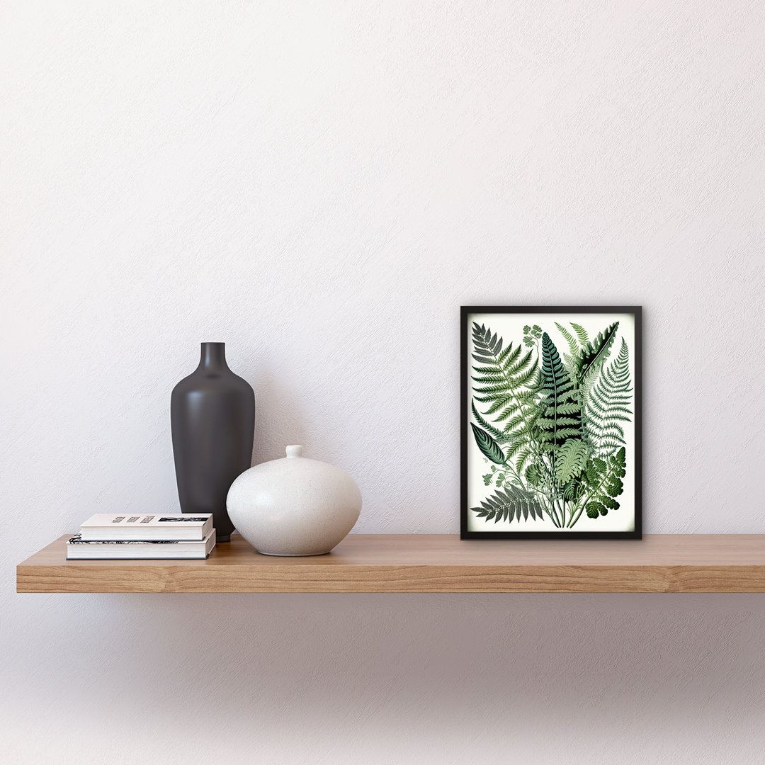 Haeckel Style Fern Fronds Watercolour - Single Picture Frame Print
