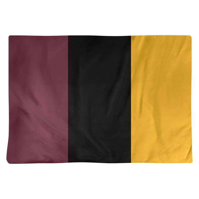 Récapitulatif 18" basket Cleveland, Vin / noir / doré, Sergé de coton