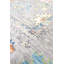 Oriental Area Rug in Gray