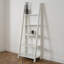 LPD Home 175.5cm H x 64cm W Ladder Bookcase-17613457-123754582